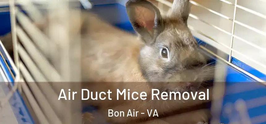 Air Duct Mice Removal Bon Air - VA