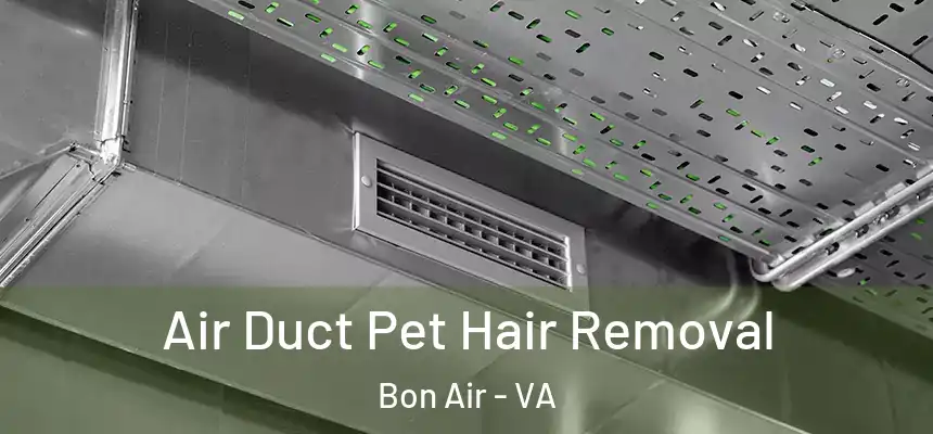 Air Duct Pet Hair Removal Bon Air - VA