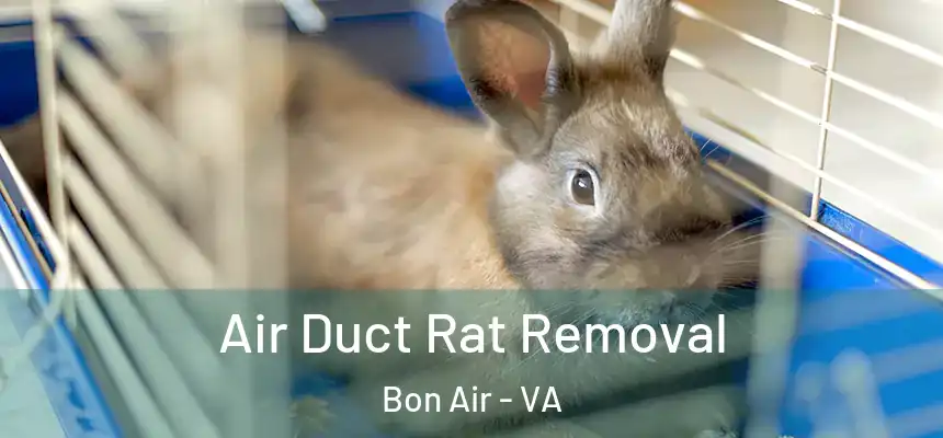 Air Duct Rat Removal Bon Air - VA