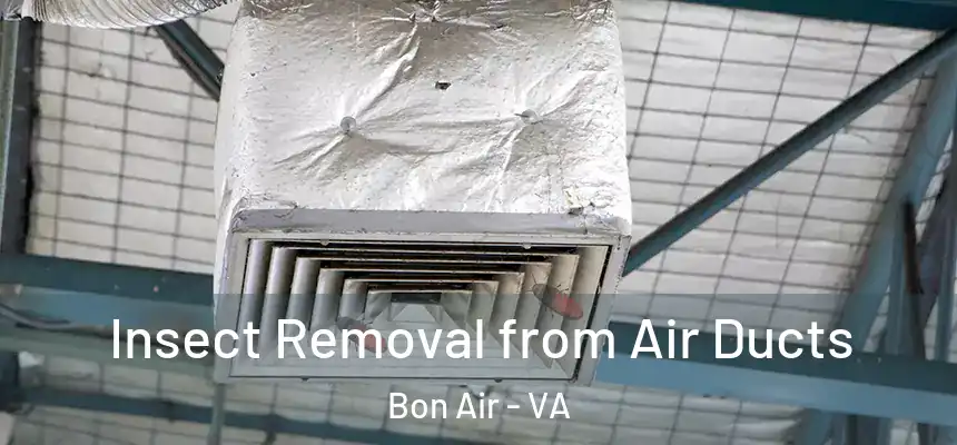Insect Removal from Air Ducts Bon Air - VA