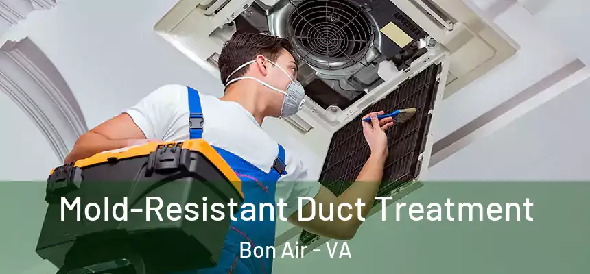 Mold-Resistant Duct Treatment Bon Air - VA