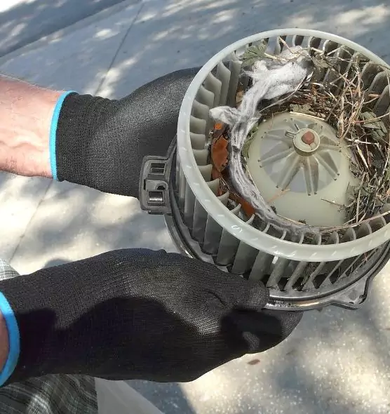 About Air Duct Mice Removal in Bon Air, VA